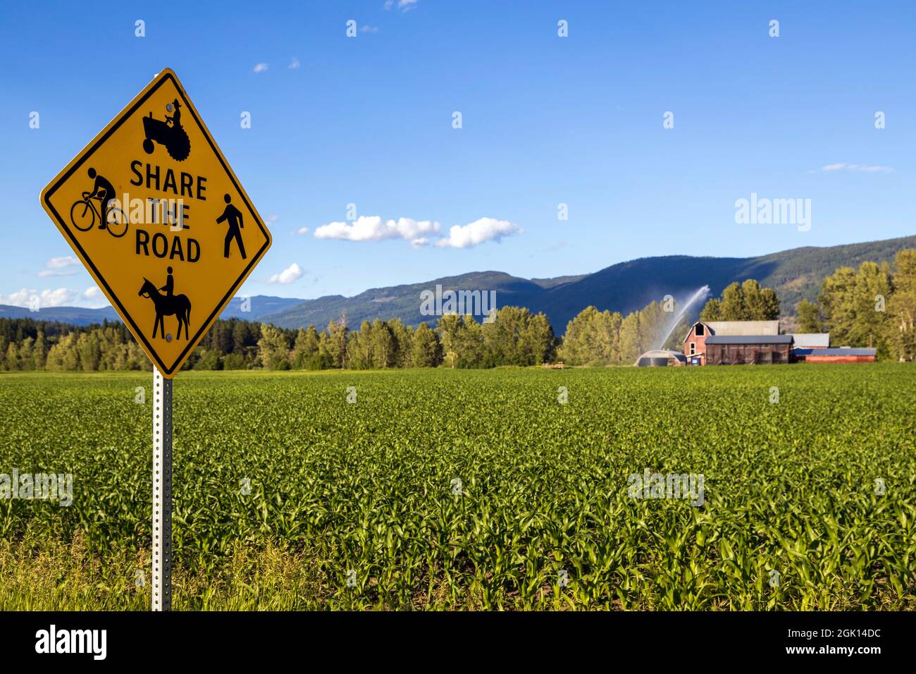 Ein teilen das Straßenschild in Armstrong, British Columbia, Kanada mit Fußgänger, Radfahrer, Reiten, Und Traktorenfahrzeuge. Stockfoto