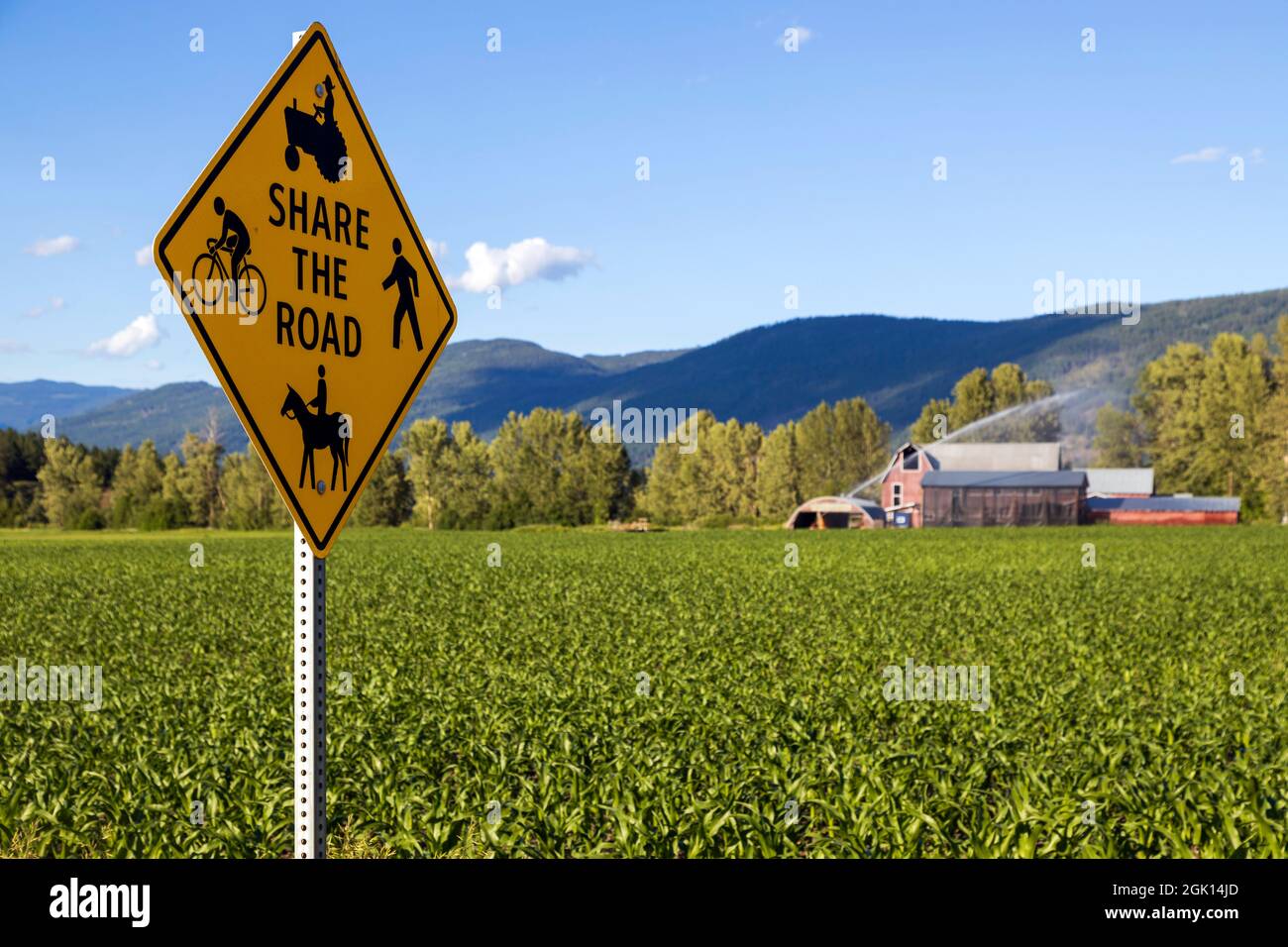 Ein teilen das Straßenschild in Armstrong, British Columbia, Kanada mit Fußgänger, Radfahrer, Reiten, Und Traktorenfahrzeuge. Stockfoto