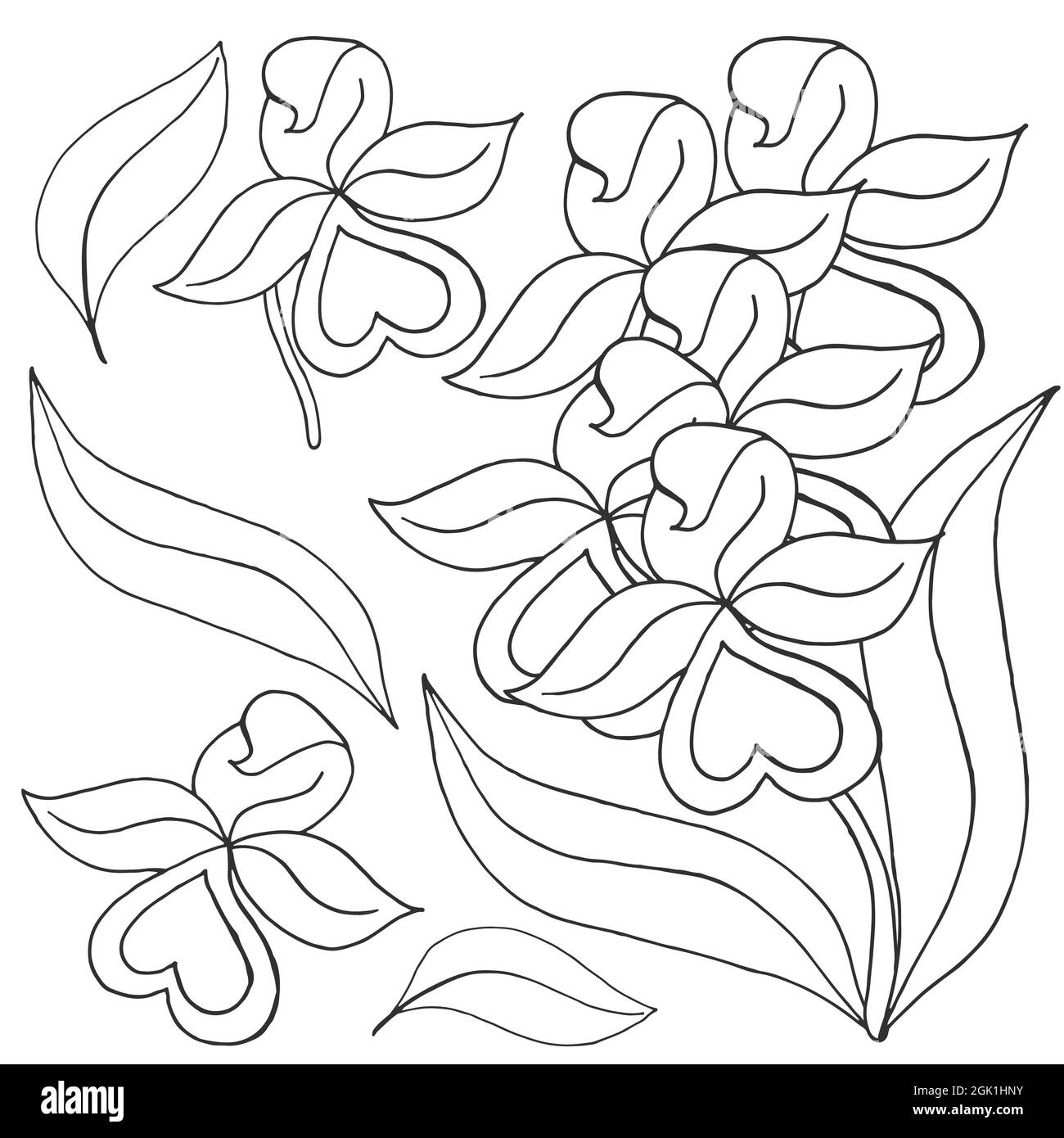 Orchideen. Set Orchidee. Monochrome Blumen, individuelle Elemente. Niedliche Blumen im Handzeichnen-Stil Stock Vektor