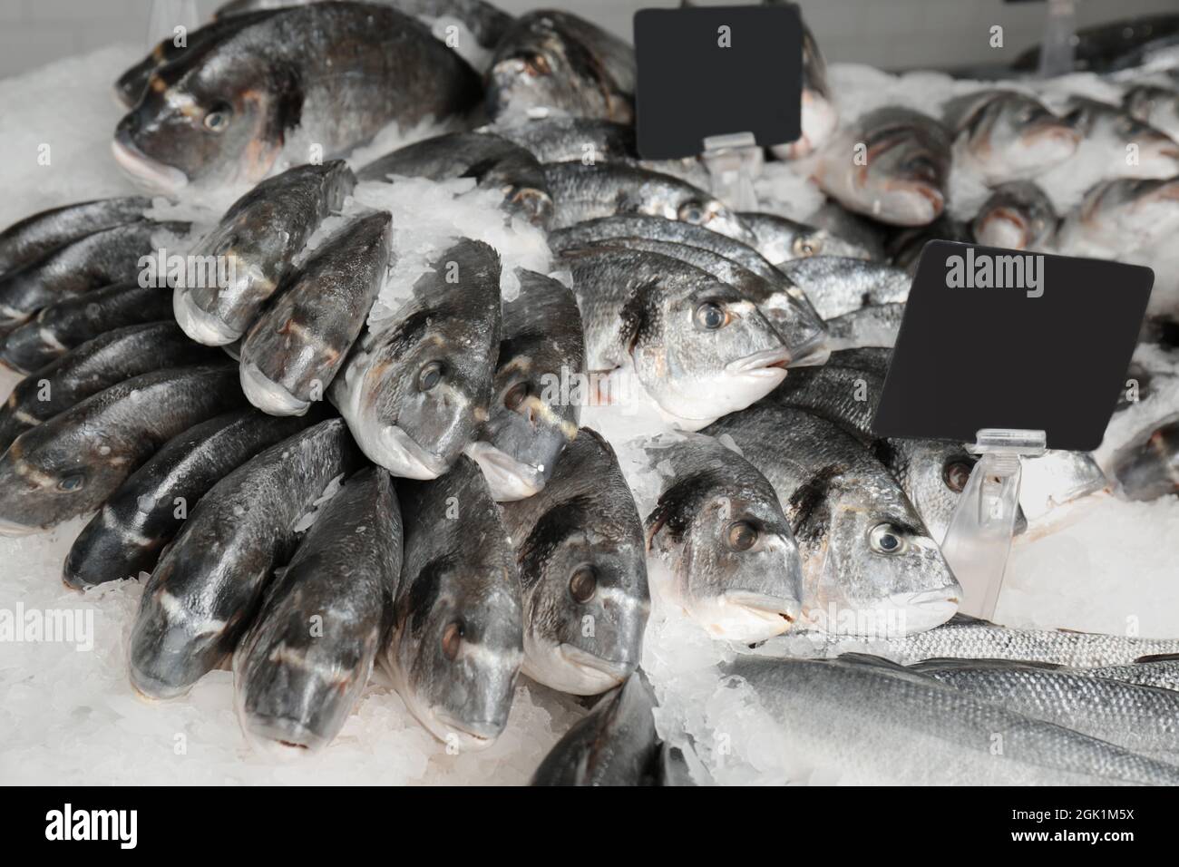 Frischer Fisch im Supermarkt Stockfoto