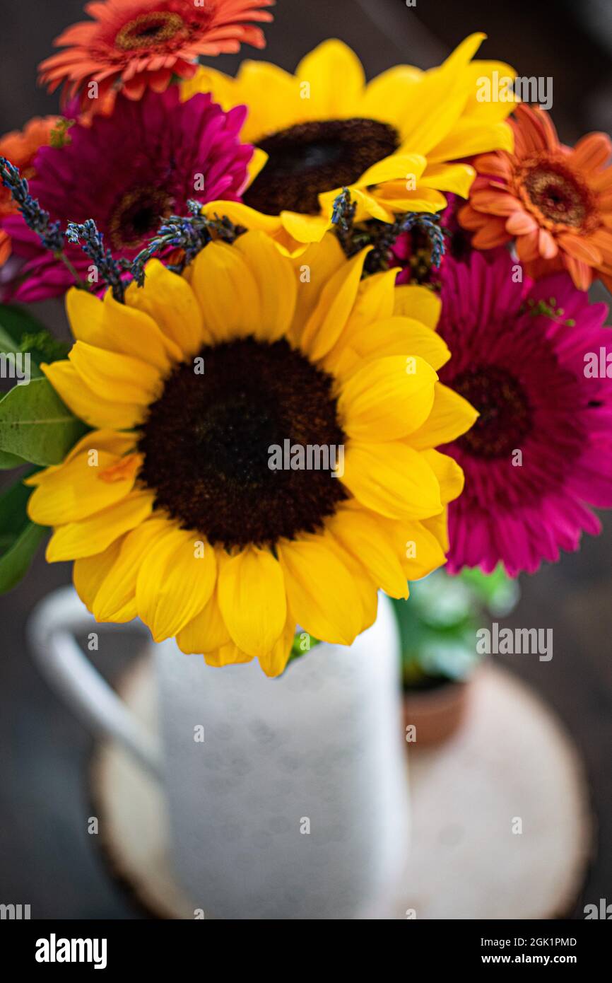 Ein farbenfroher Blumenstrauß in einer Vase im Landhausstil. Stockfoto