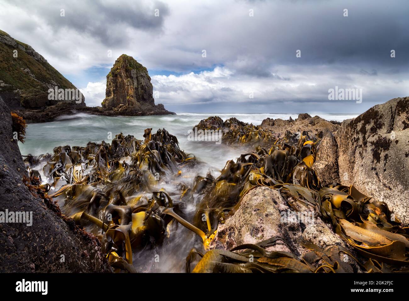 Cannibal Bay, Catlins, Neuseeland Stockfoto