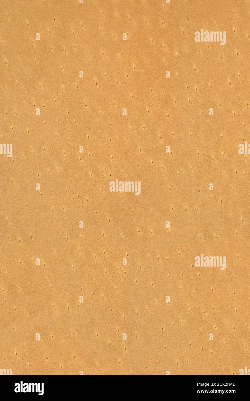 Echt alles natürliche beige tan Leder genarbte Textur Muster Hintergrund, leer vertikal kopieren Raum Makro Nahaufnahme große detaillierte strukturierte Muster Stockfoto
