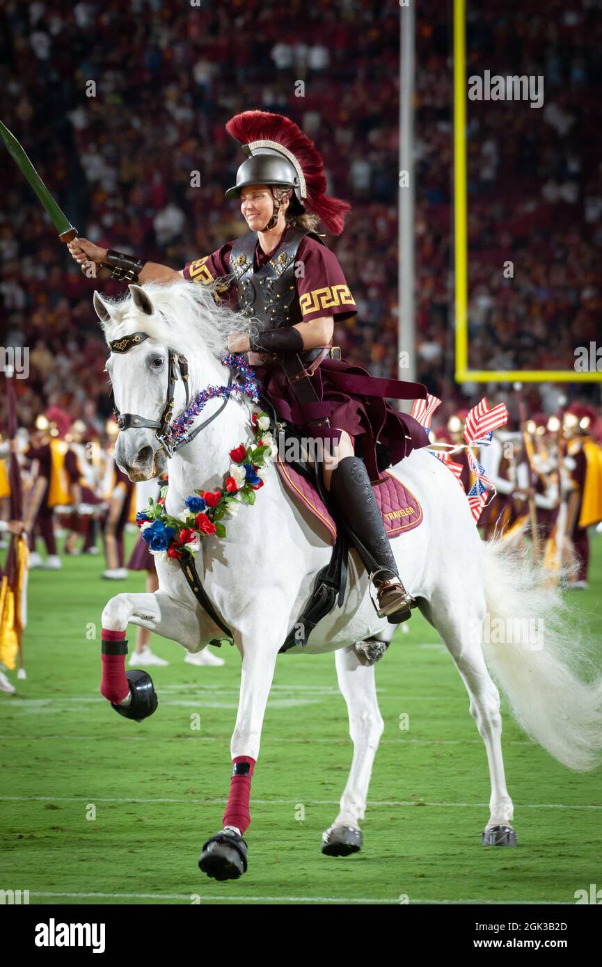 Das südkalifornische trojanische Maskottchen sprit das Pferd und den Reiter auf dem Spielfeld vor einem NCAA-Fußballspiel gegen den Stanford Cardinal. Der Kardinal Stockfoto