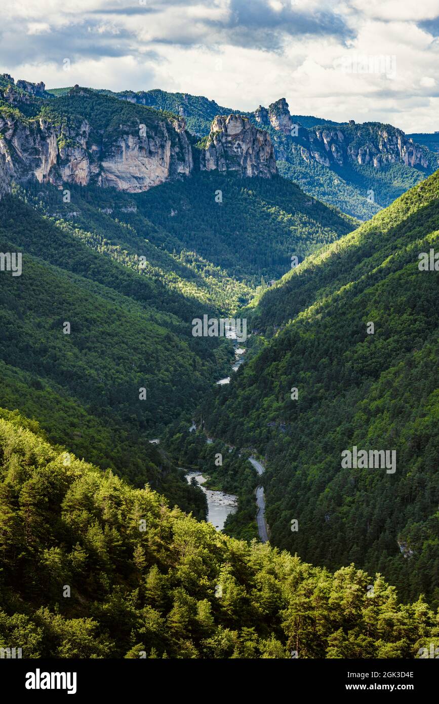 Die Schluchten des Flusses Tarn. Erhöhter Blick auf eine reine Naturlandschaft im Süden Frankreichs. Stockfoto