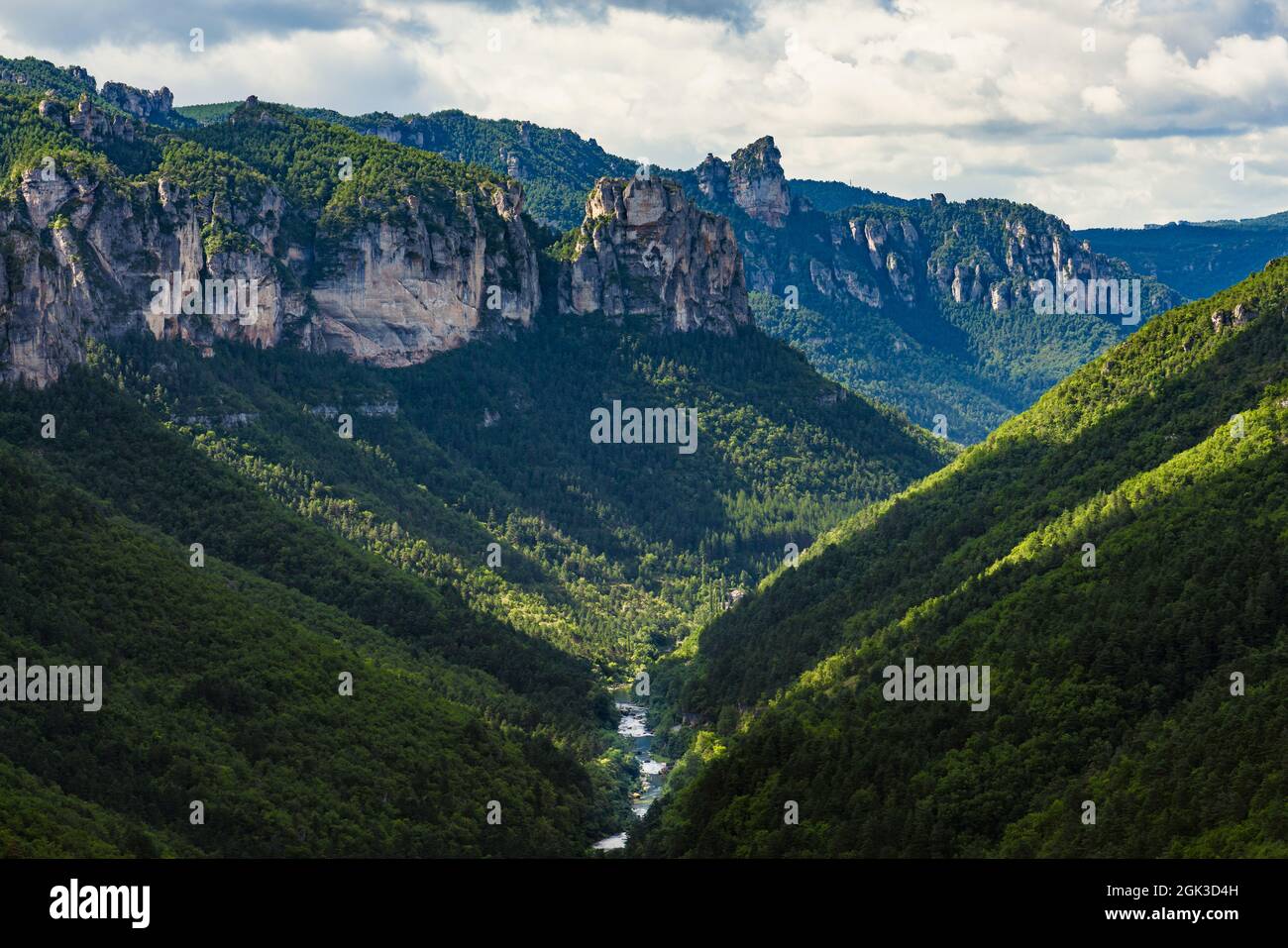 Die Schluchten des Flusses Tarn. Erhöhter Blick auf eine reine Naturlandschaft im Süden Frankreichs. Stockfoto
