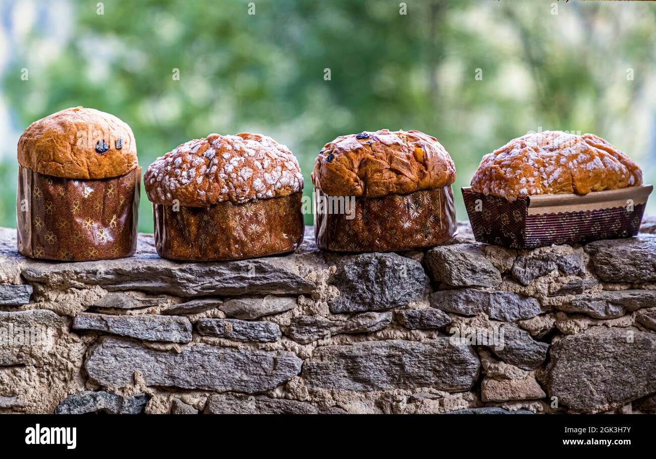 Auch Panettone werden immer beliebter. Der Legende nach ist der Erfolg des Panettone auf das Unglück eines mailändischen Kochs zurückzuführen. Produkte der Pasticceria Marnin in Locarno, Schweiz Stockfoto