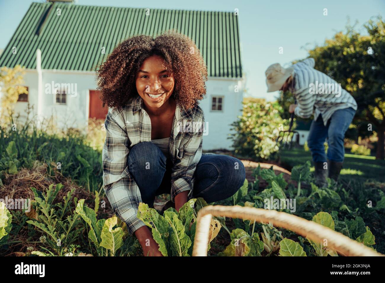 Mischbetrieb Bäuerin glücklich, in der Natur Gemüse aus dem Garten pflücken zu arbeiten Stockfoto