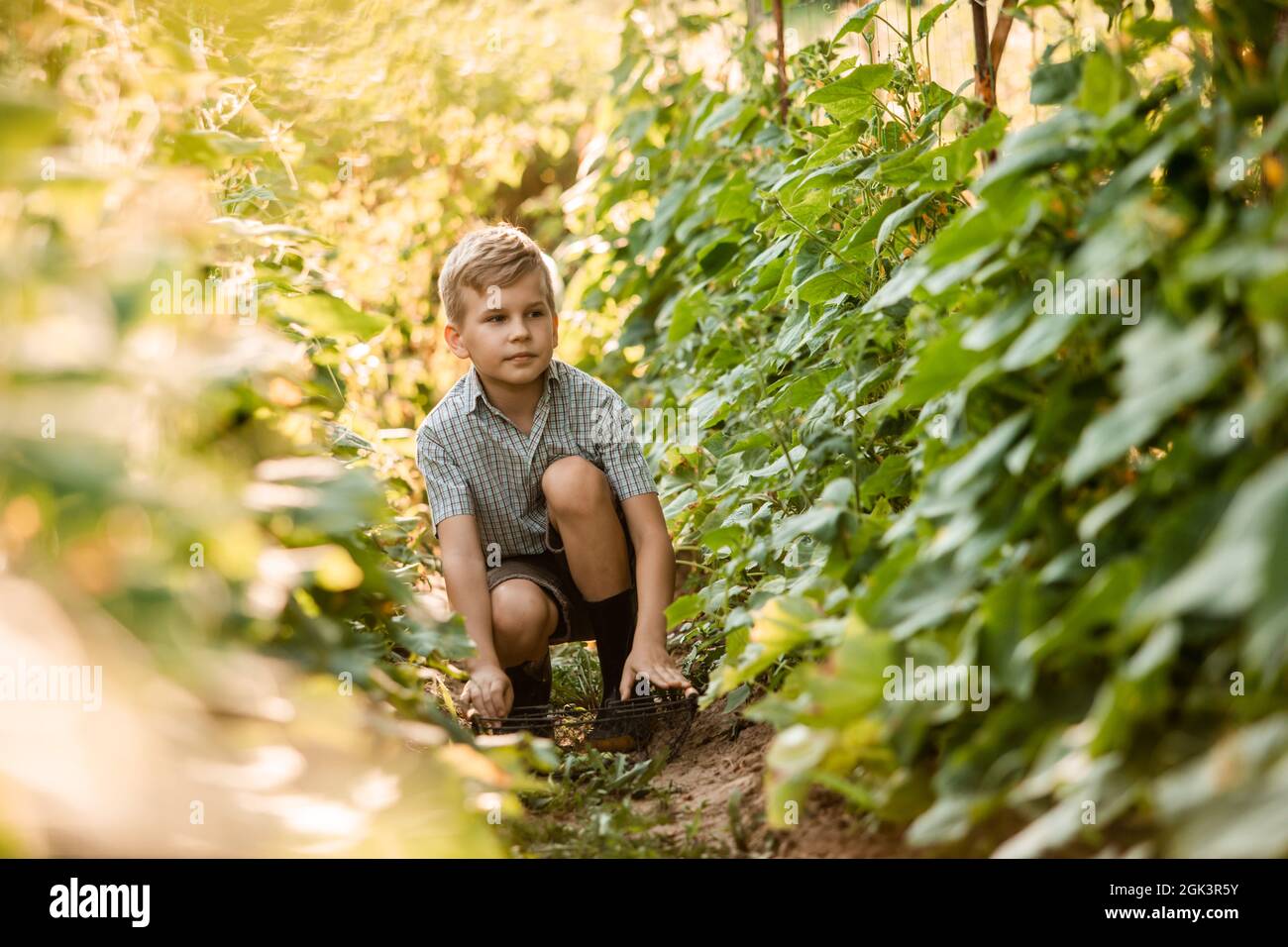 Der kleine Junge steht mit einem Korb im Gartenbett Stockfoto