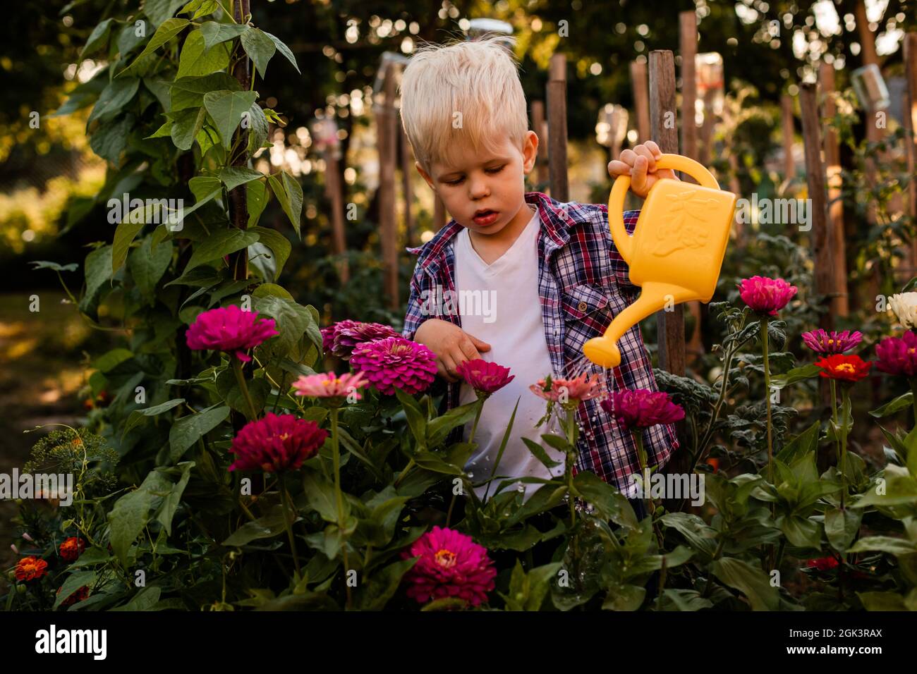 Das Kleinkind gießt Blumen im Garten mit einer Gießkannen Stockfoto