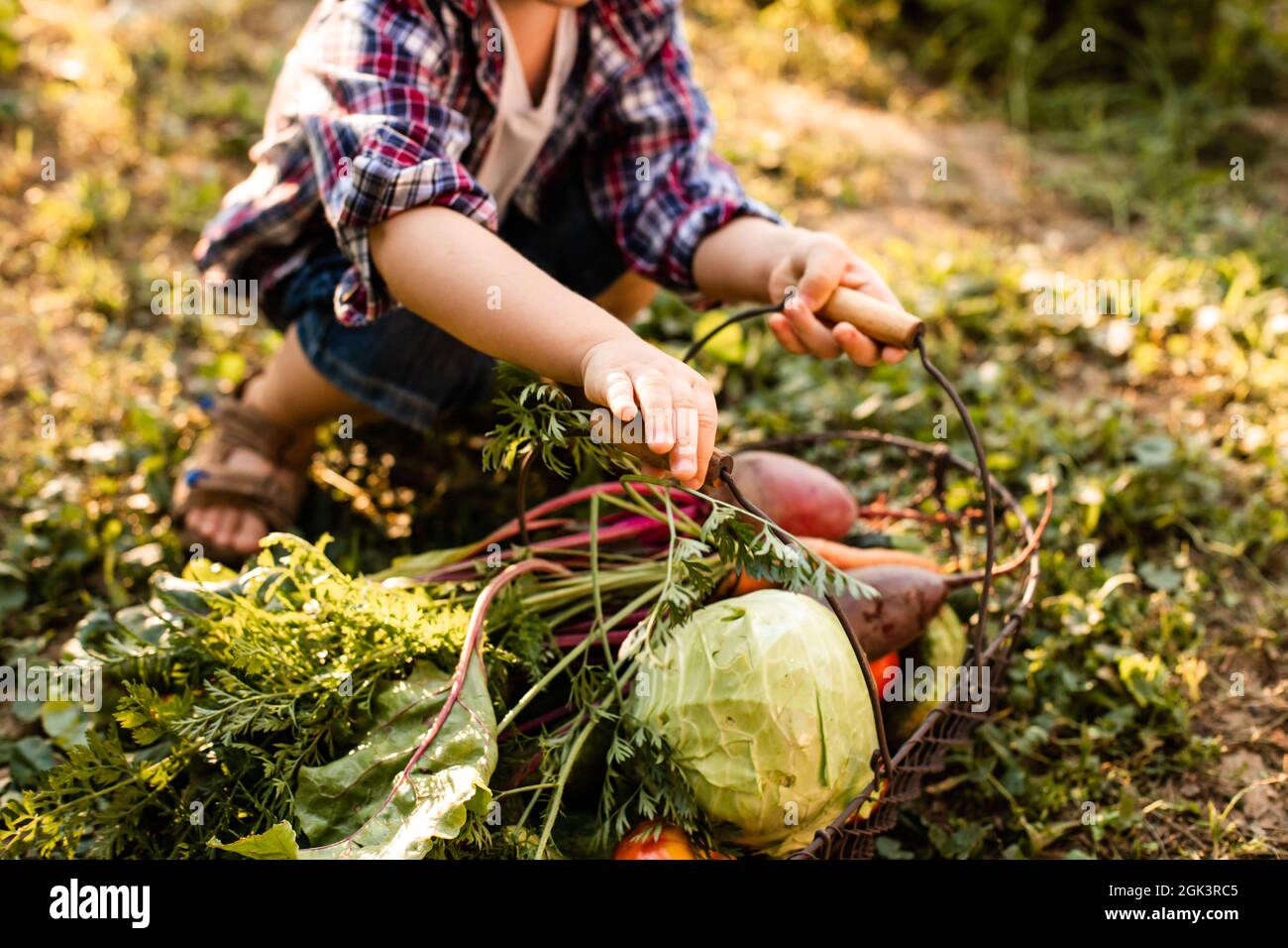 Das Kleinkind untersucht einen Korb mit Gemüse Stockfoto