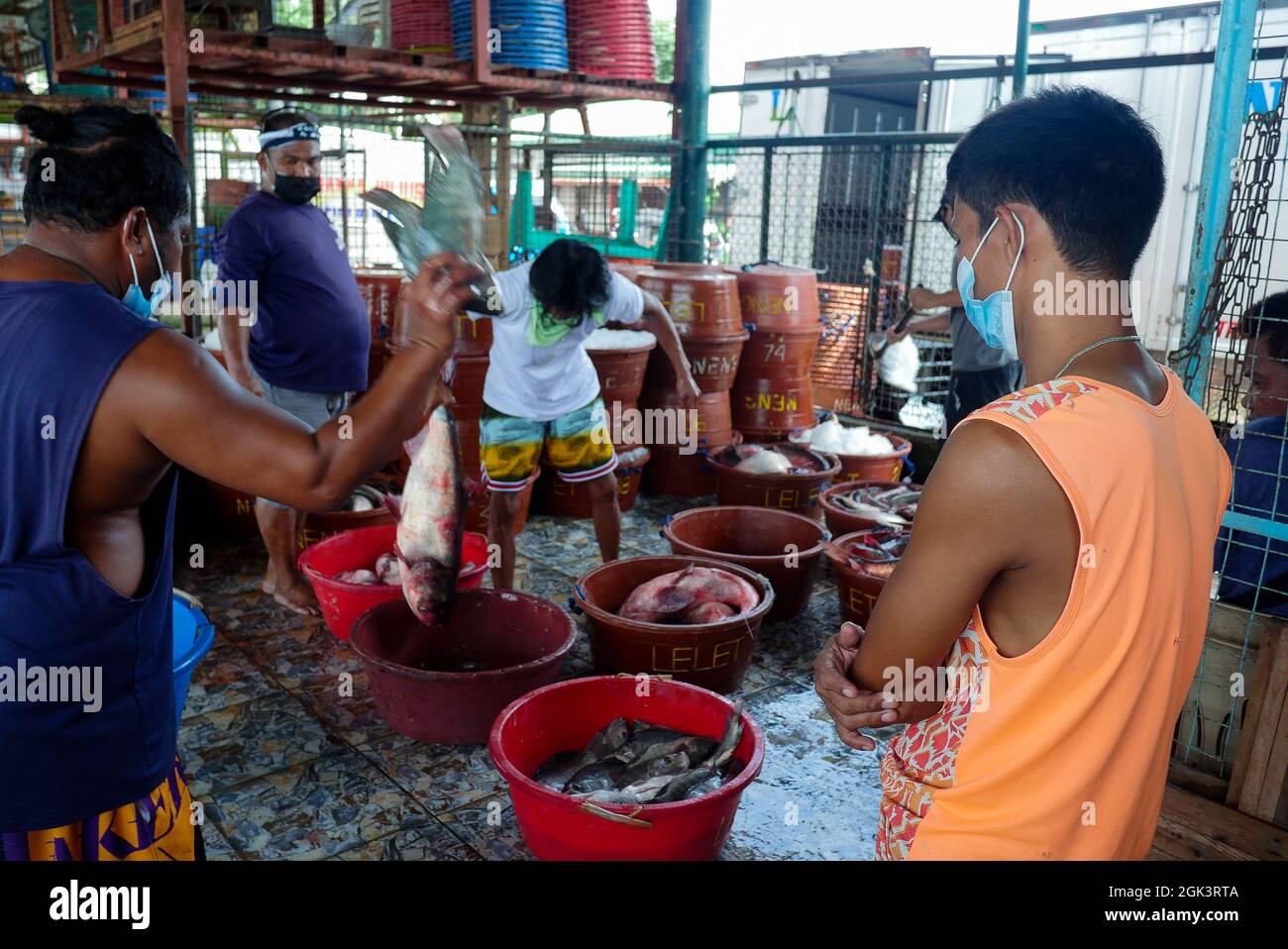 Binangonan, Rizal, Philippinen. September 2021. Zwei Männer sortieren den Fisch nach seiner Art, während der Mann mit orangefarbenem Hemd ihn überprüft und überwacht. (Bild: © George Buid/ZUMA Press Wire) Stockfoto