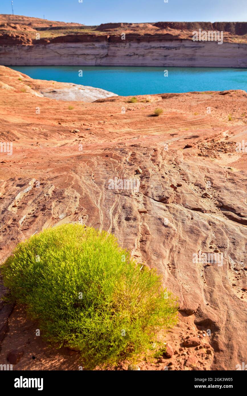 Wüste Südwestlandschaft Stockfoto
