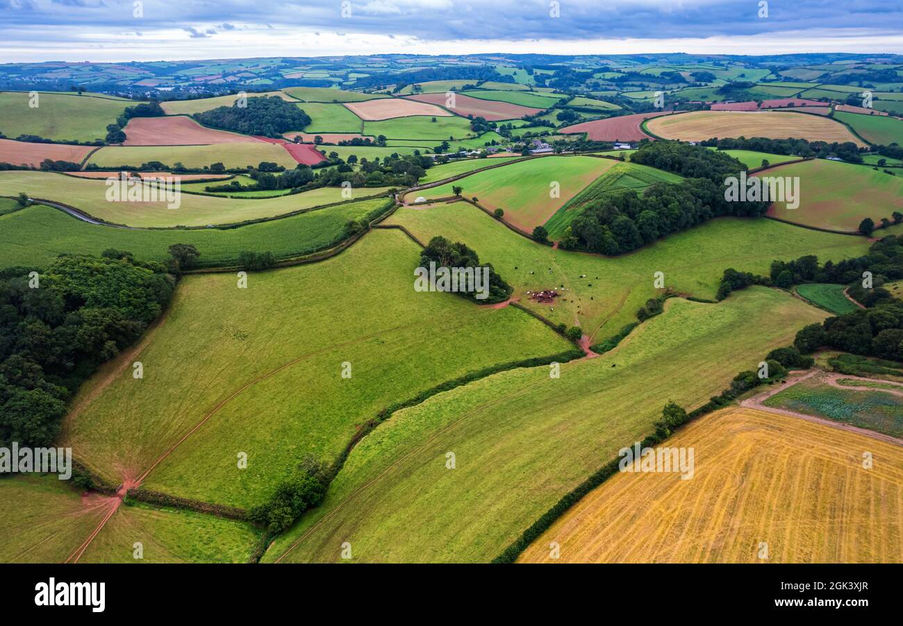 Drohnenfotografie - Felder und Wiesen über Torbay, Torquay, Devon, England, Europa Stockfoto