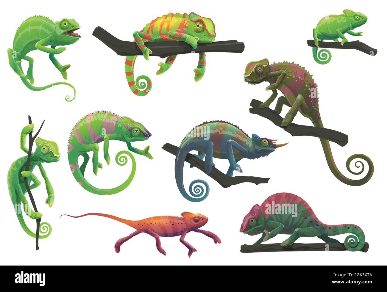 Chamäleon Eidechsen mit Baumzweigen Vektor mit Cartoon Reptilien Tiere von Panther, jackson, verschleiert, grün und rot Chamäleon in verschiedenen Posen gesetzt. Stock Vektor
