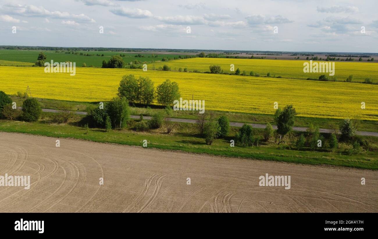 Eine gepflügte landwirtschaftliche Feld, Ernte von Raps in der Ferne. Luftaufnahme von Ackerland, Landschaft. Stockfoto