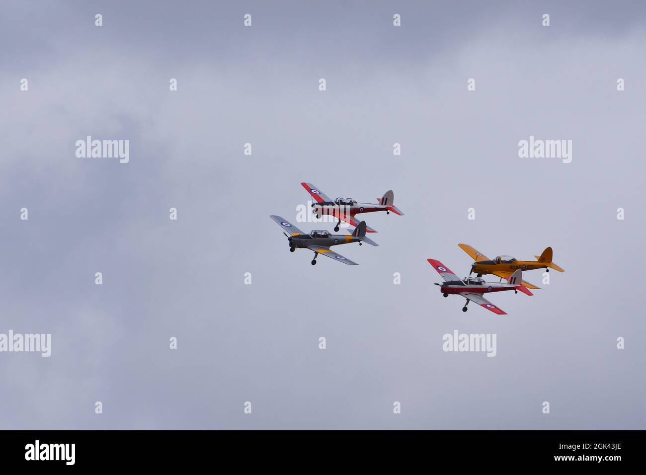 Vier alte de Havilland Chipmunk Flugzeuge fliegen in Formation. Stockfoto
