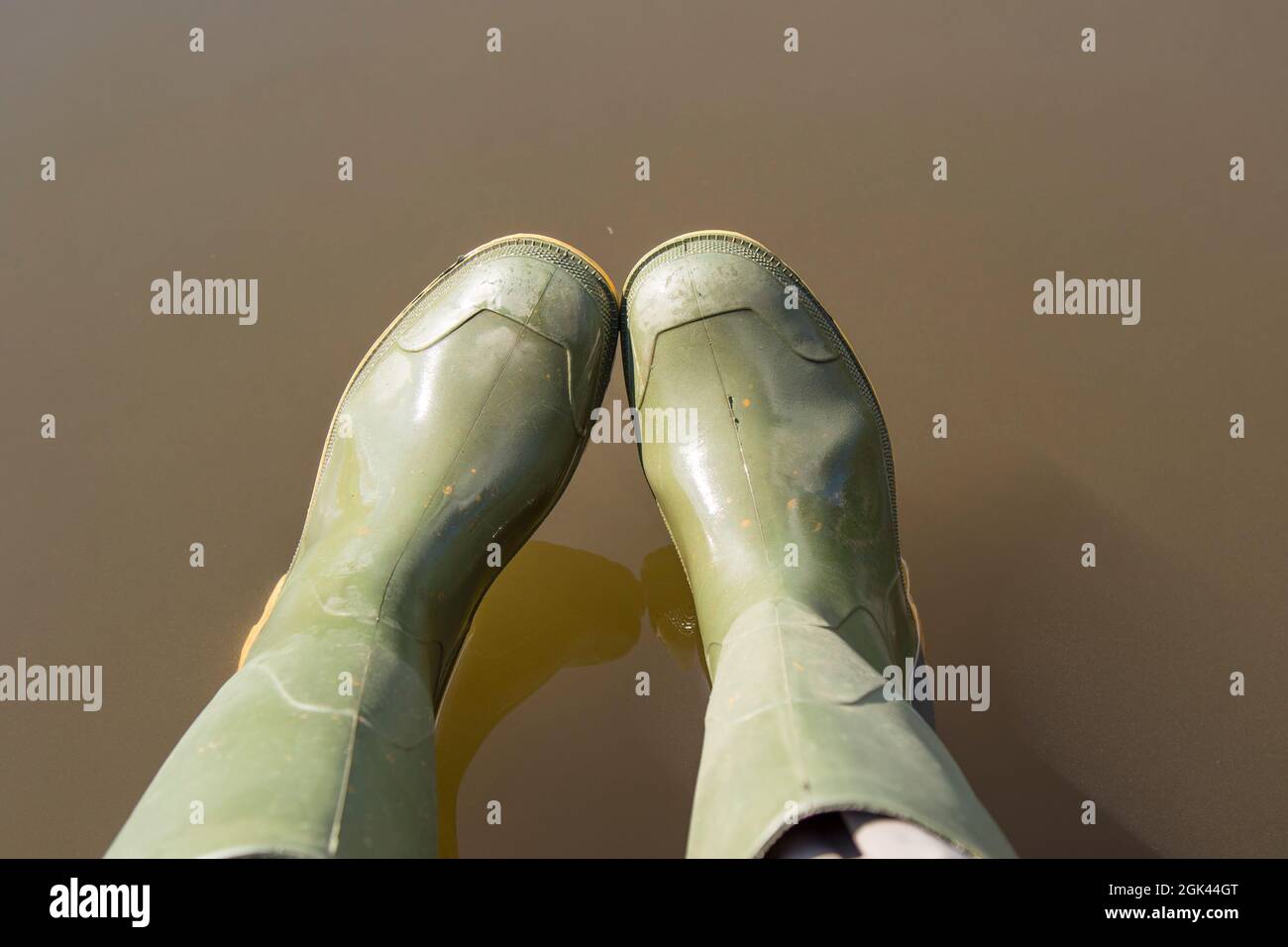 Blick hinunter auf die Füße der Person, die ein Paar grüne gummistiefel über trübem Wasser trägt. Stockfoto