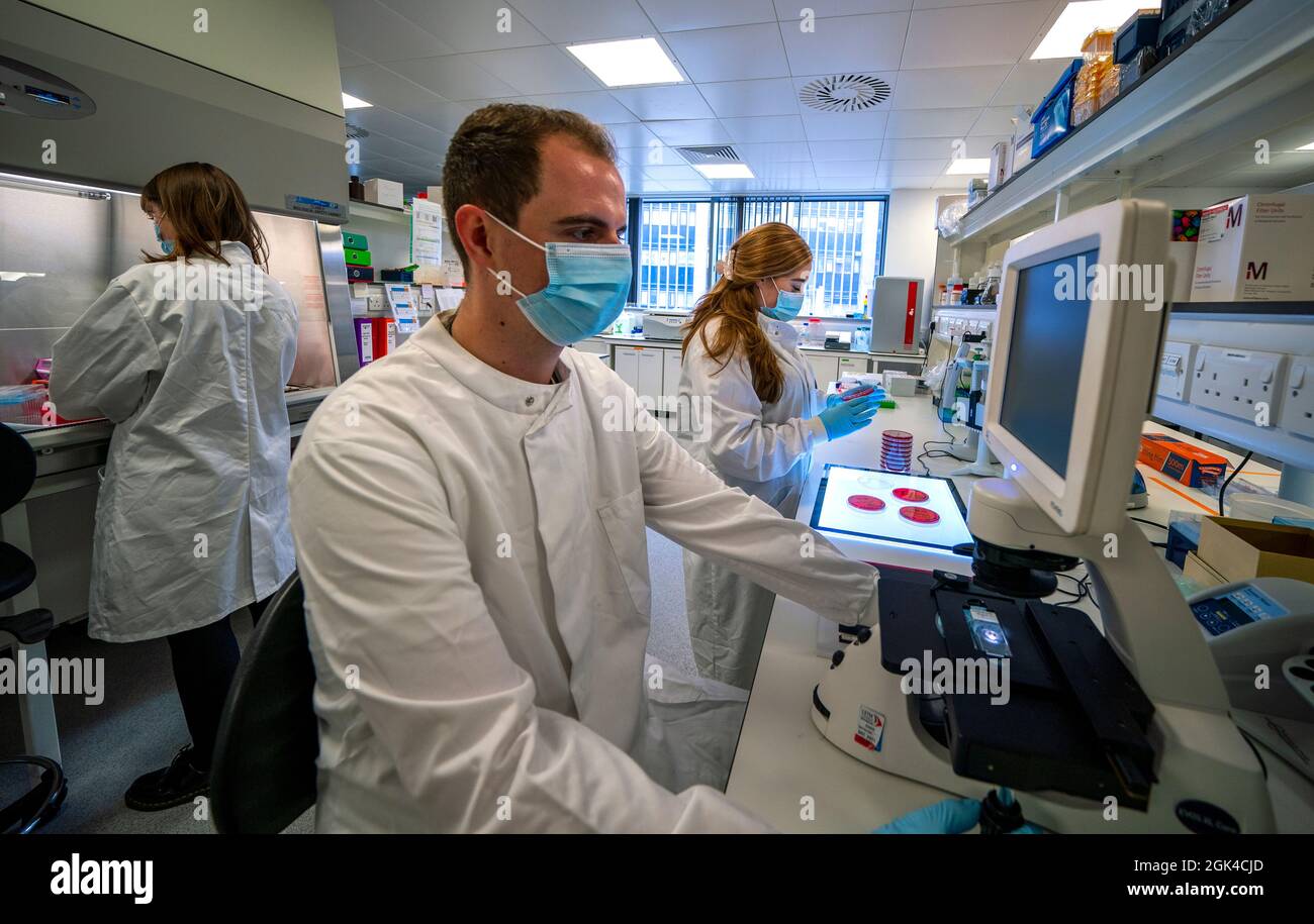 Mitarbeiter der Liverpool School of Tropical Medicine arbeiten am neu eröffneten Pandemic Institute an der Wirbelsäule in Liverpool an Proben. Das Pandemic Institute wird weltweit führende klinische und wissenschaftliche Expertise in allen Phasen des Pandemie-Lebenszyklus bieten, um die globale Reaktion auf Pandemien zu beschleunigen. Bilddatum: Montag, 13. September 2021. Stockfoto