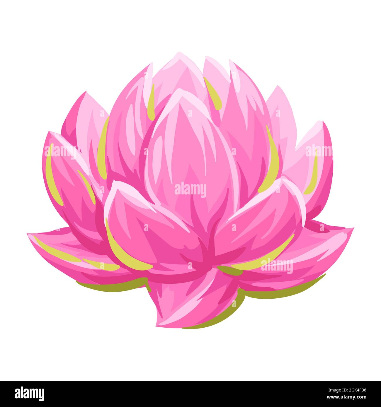 Illustration der Lotusblume. Seerose dekoratives Bild. Stock Vektor