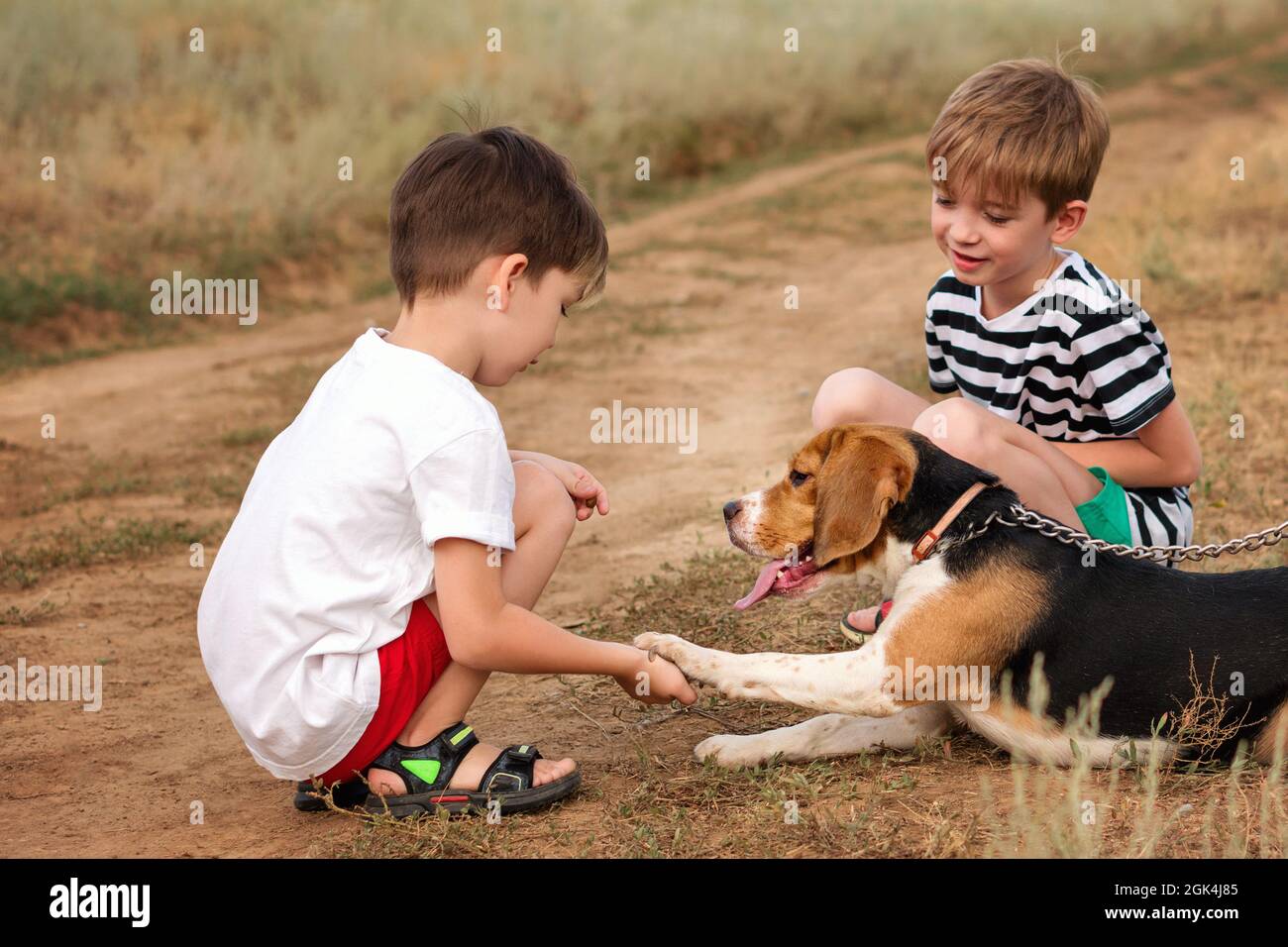 Zwei kleine Kinderbrüder gehen mit reinrassigen Beagle auf dem Land. Jungen trainieren Hund im Freien. Bringe Haustier bei, Befehle zu befolgen und Pfote zu geben. Stockfoto
