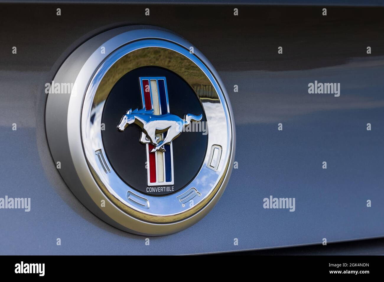 Ford Mustang Cabrio-Emblem hinten Stockfoto