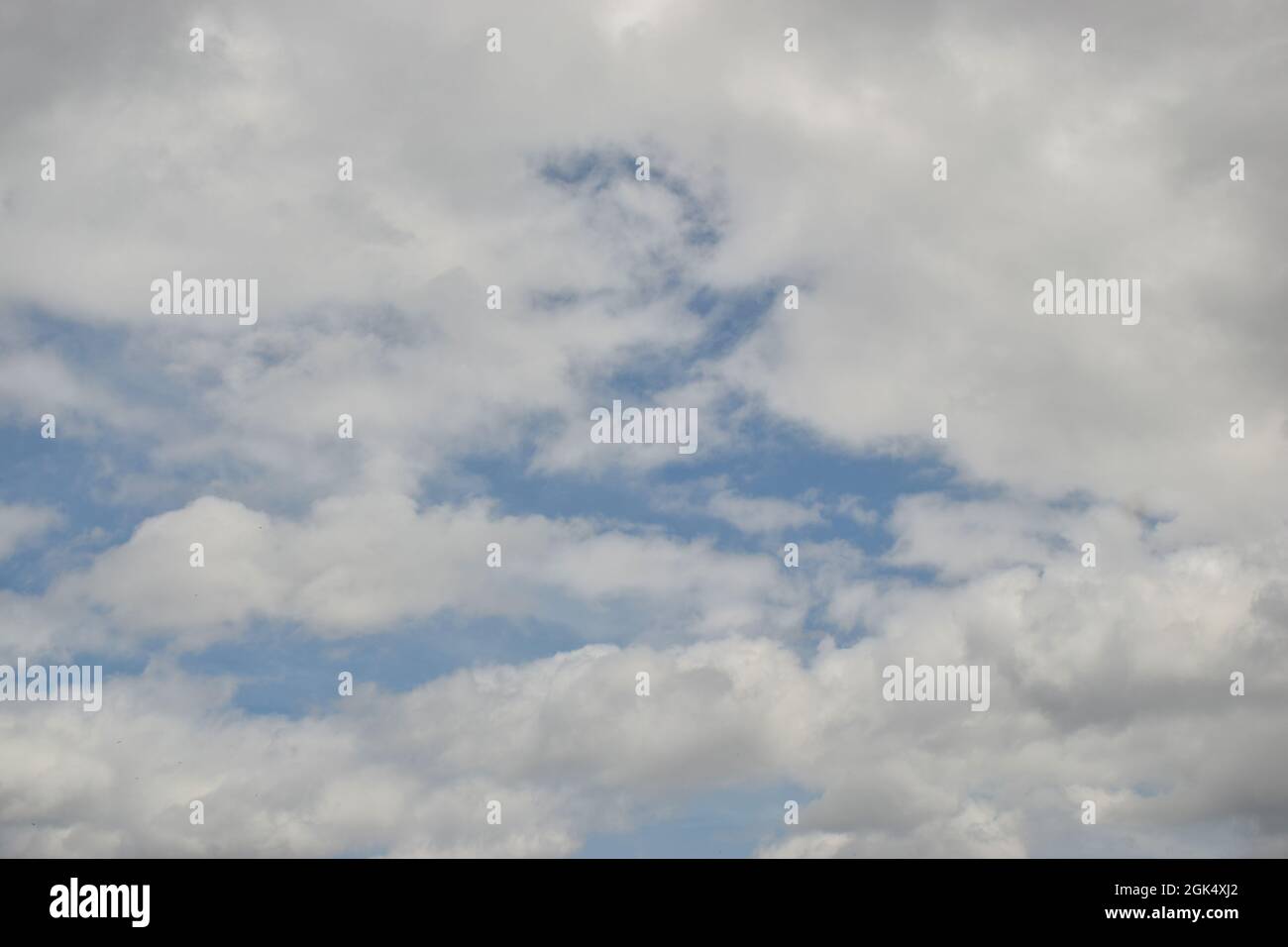 Blauer Himmel, weiße geschwollene Cumulus Wolken Wolke, Himmel, Meteorologie, Wetterhintergrund Stockfoto