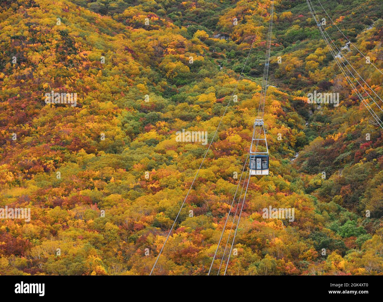 Seilbahn auf Herbst Berg in Nagano, Japan. Stockfoto