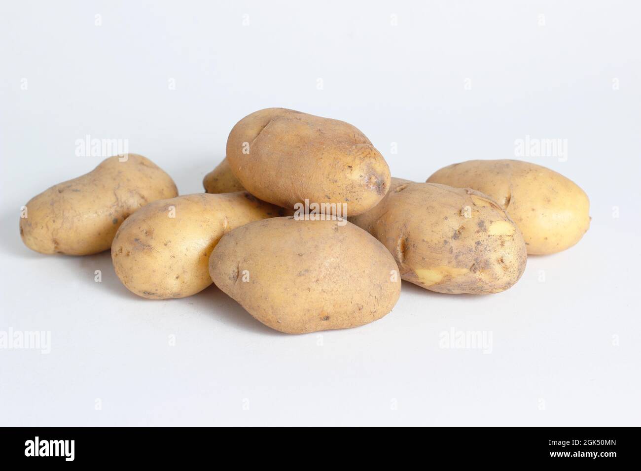 Solanum tuberosum 'Nicola' Kartoffeln isoliert auf weißem Hintergrund. VEREINIGTES KÖNIGREICH Stockfoto
