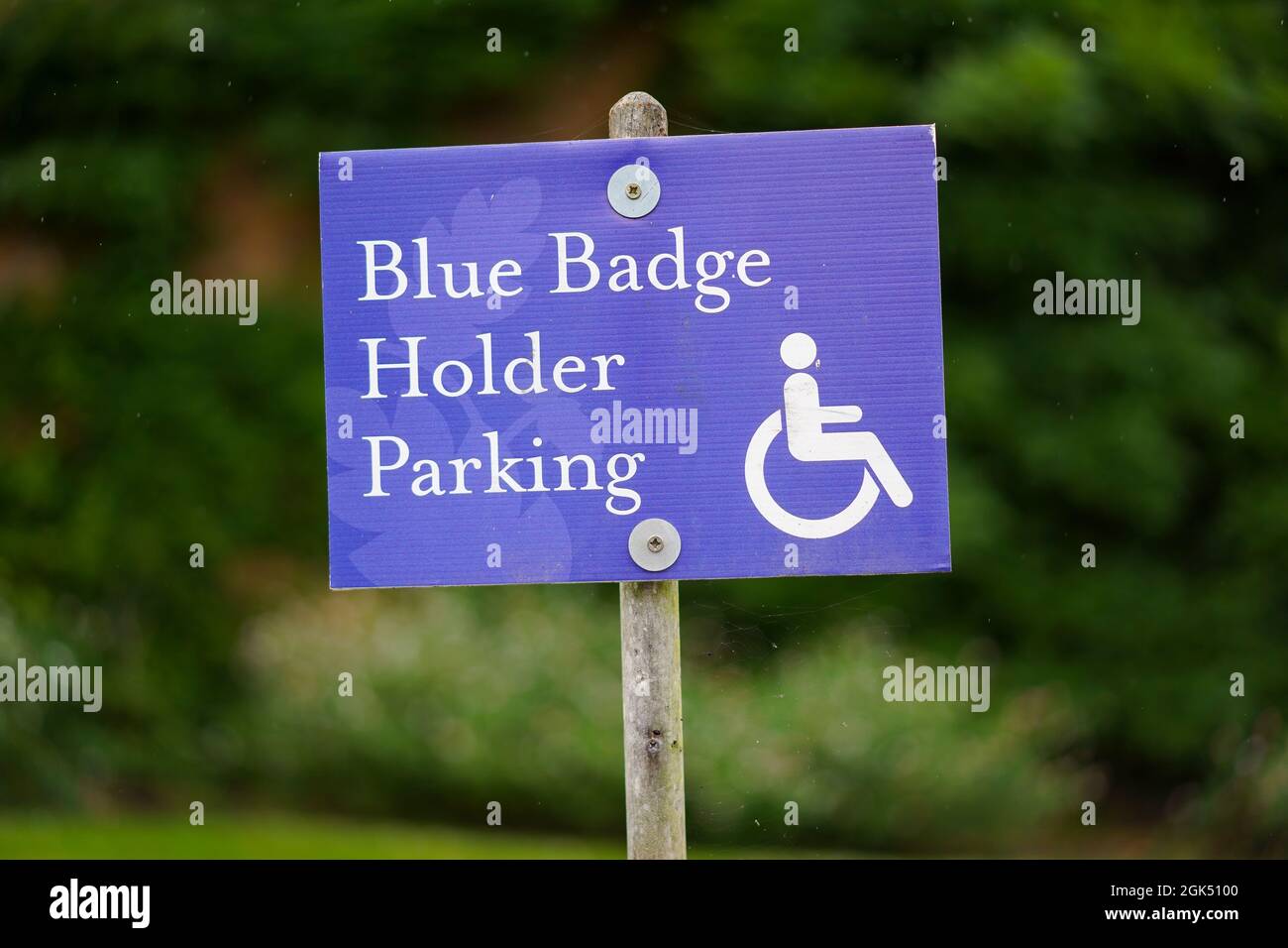 Nahaufnahme eines isolierten Schilds auf dem Parkplatz für „Blue Badge Holder Parking“, im Freien auf dem UK Country Park. Stockfoto