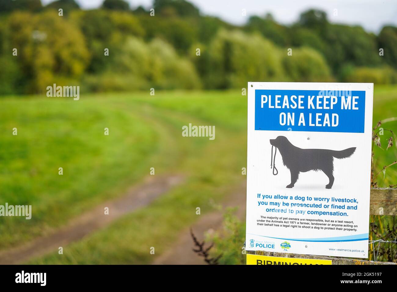 Höfliche Polizeinotiz, Schild an Hundewanderer: „Bitte führe mich an der Leine“ in ländlicher Umgebung in Großbritannien. Stockfoto