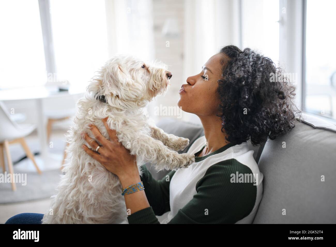 Porträt einer glücklichen, reifen Frau, die zuhause drinnen sitzt und mit dem Hund spielt. Stockfoto