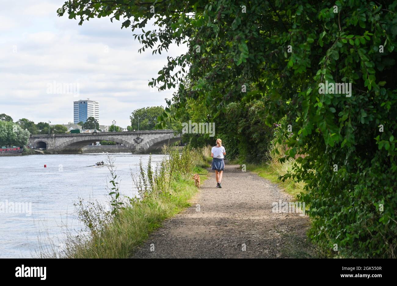Frau, die mit Hund auf dem Themsepfad läuft, in Kew South West London England, Großbritannien Stockfoto
