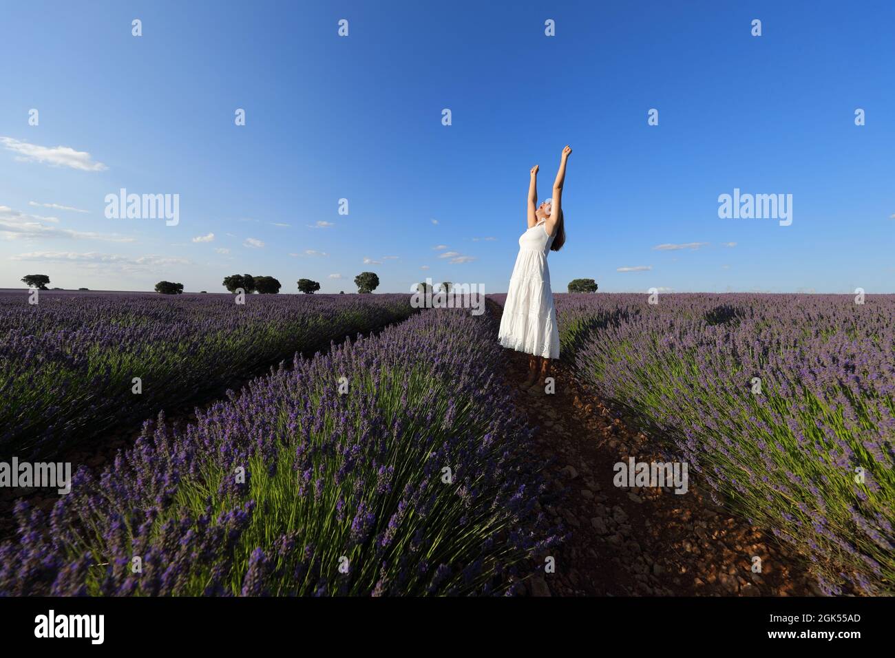 Aufgeregte Frau in weißem Kleid, die die Arme in einem Lavendelfeld hebt Stockfoto