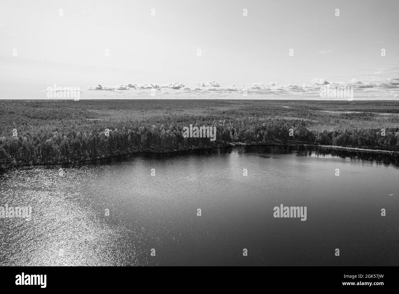 Blache und weiße Luftaufnahme von Drohne auf Moor, gallanten Kiefern- und Birkenwäldern und tiefen See mit Spiegelung von Sonnenlichtern Stockfoto