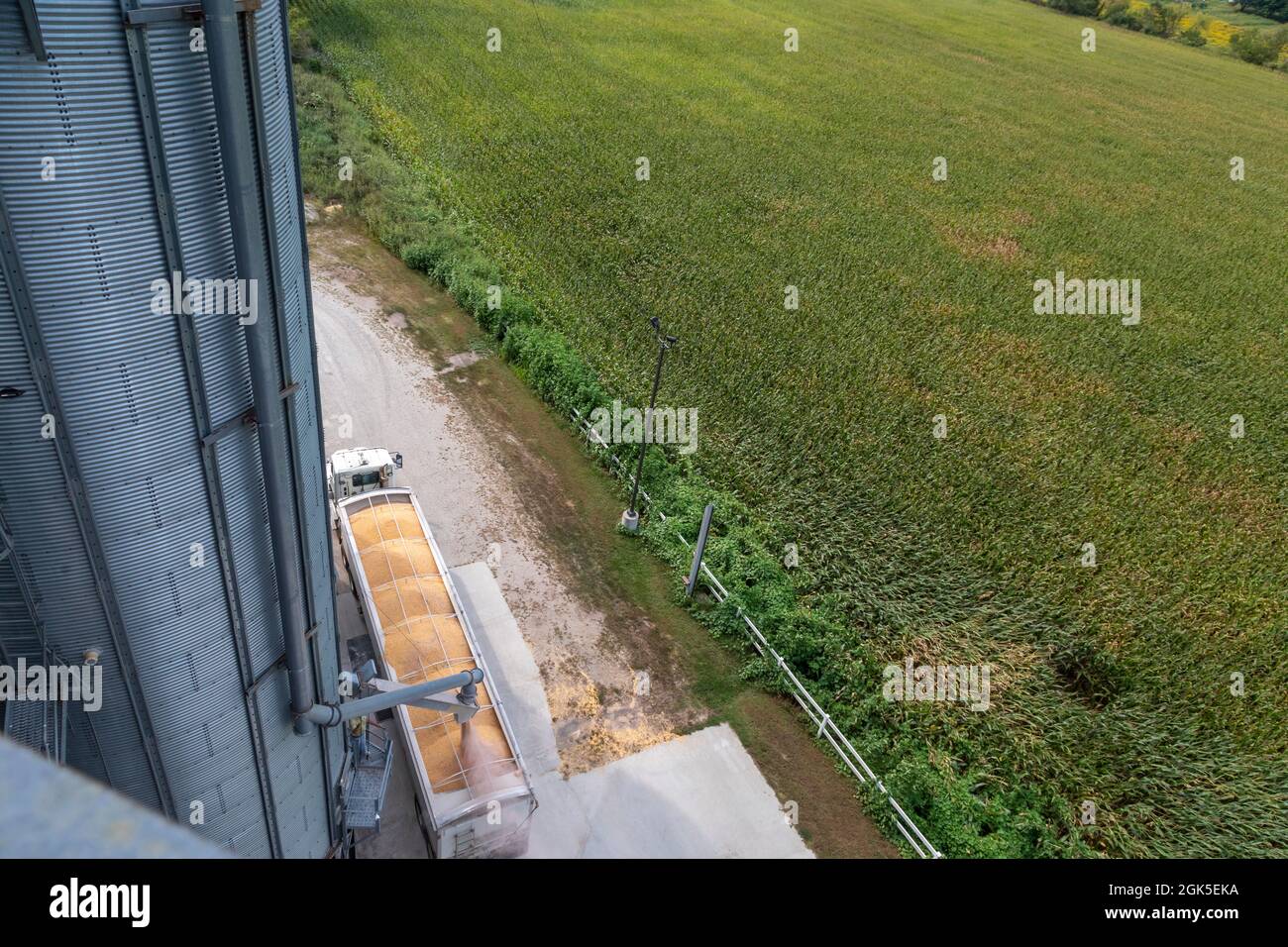 Martin, Michigan - Mais wird in einem Getreidelagersilo im Westen von Michigan auf einen LKW verladen. Stockfoto