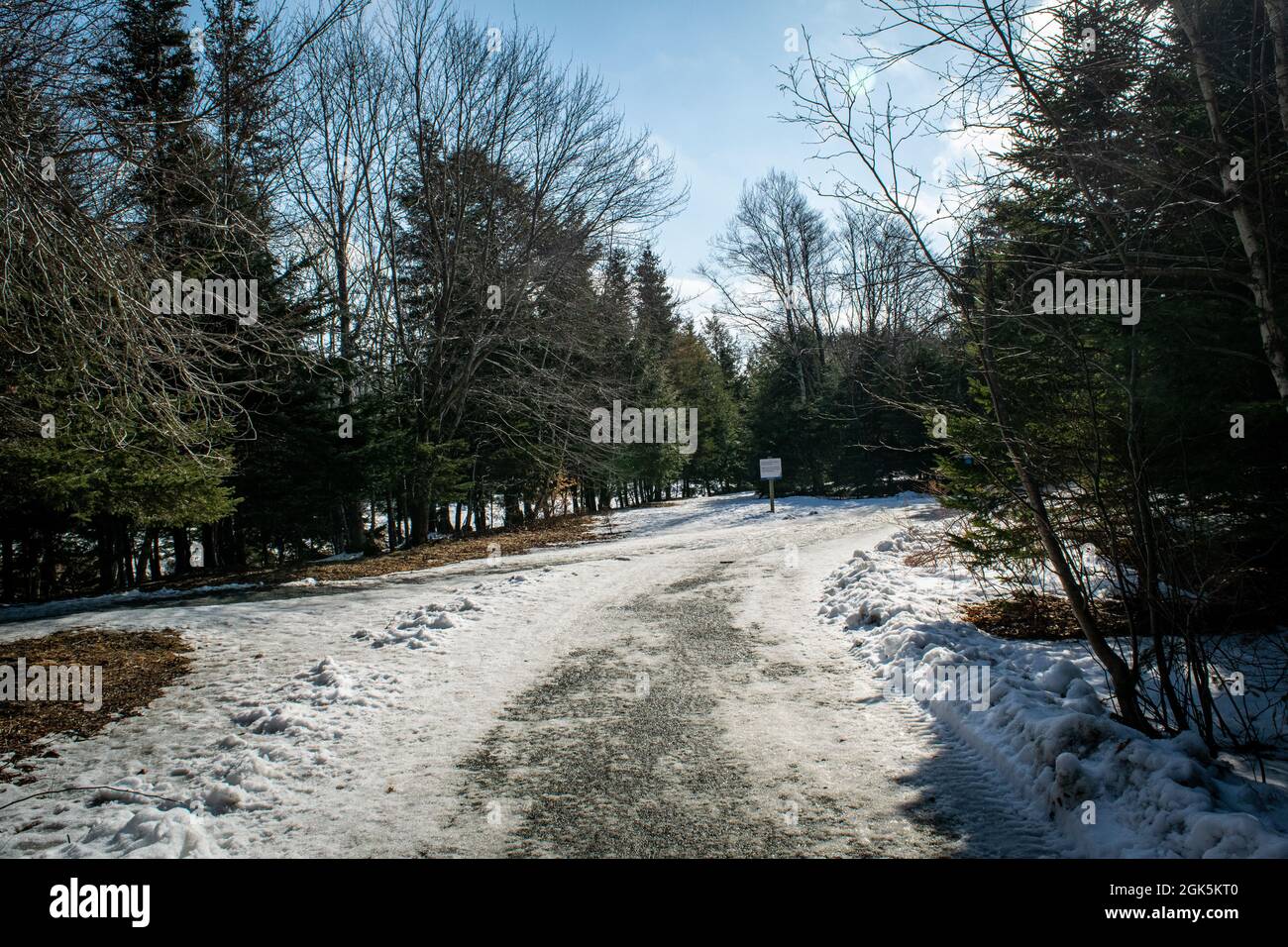 Wandern auf dem transcanada Trail im Winter auf dem Shubie Park-Abschnitt entlang des Lake charles Stockfoto