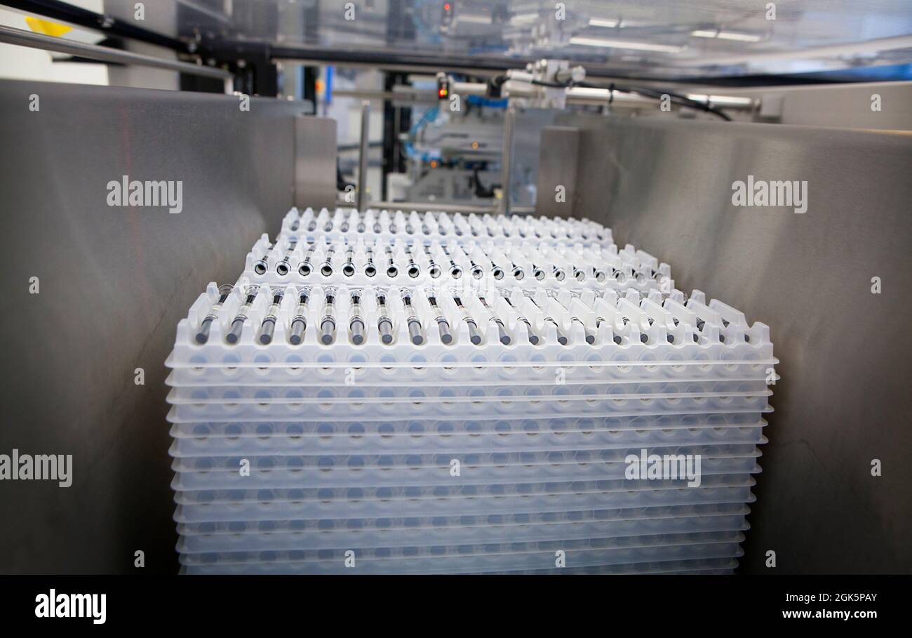 Pharmazeutische Industrie, Herstellung von injizierbaren Zubereitungen (vorgefüllte Spritzen). Stockfoto