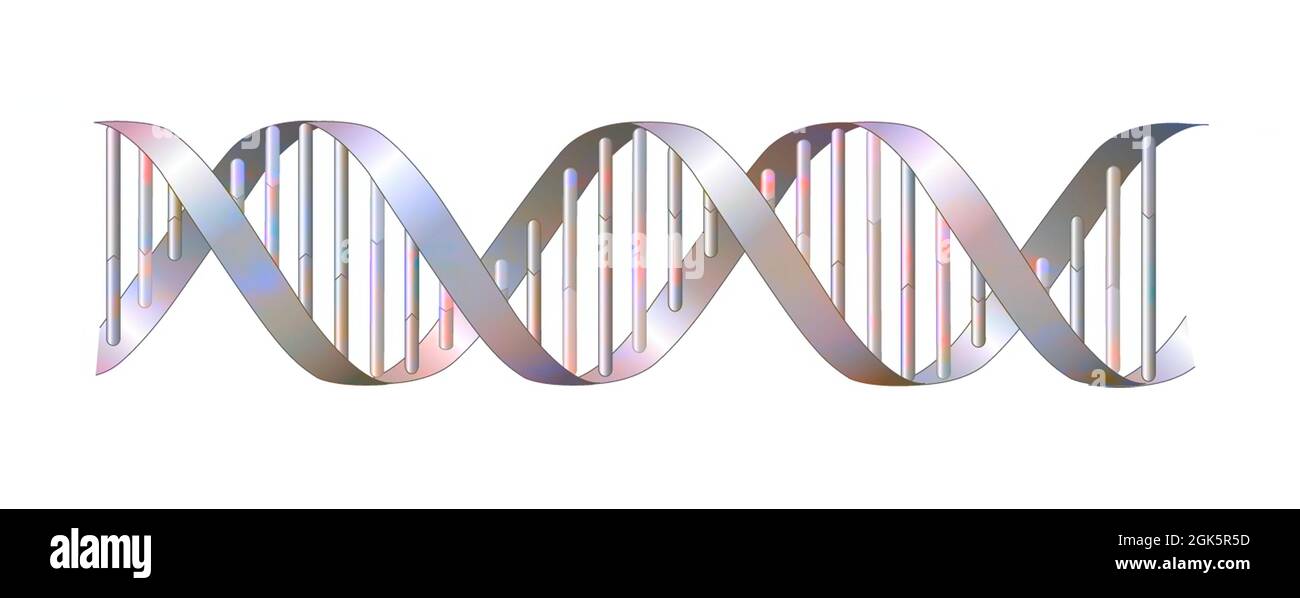 Double Helix Structure Of DNA Diagram Science Secondary
