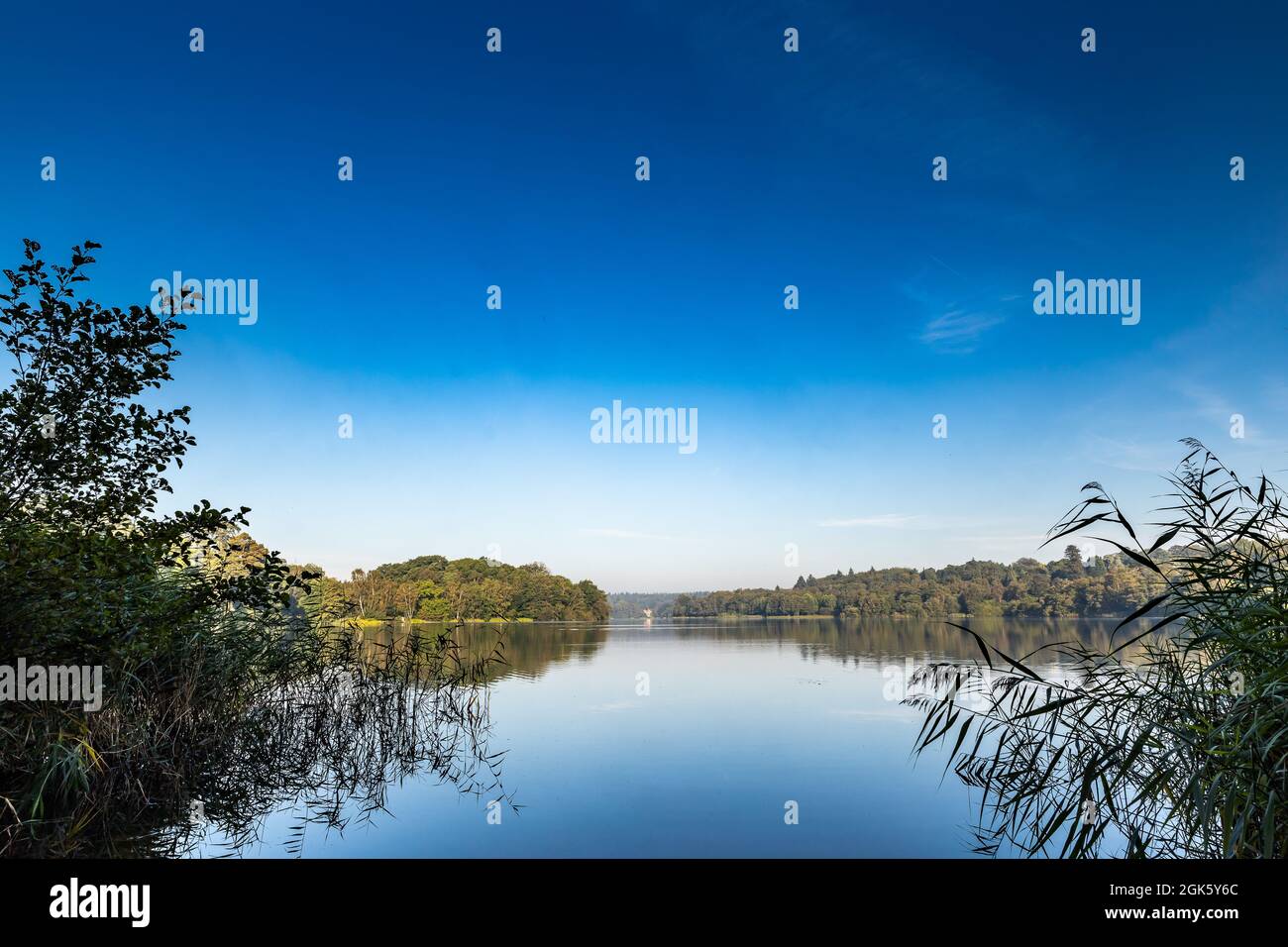 Windsor Great Park at Dawn, London, Großbritannien Stockfoto