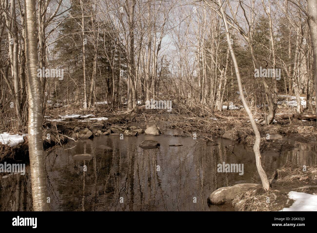 Grassy Brook Stockfoto