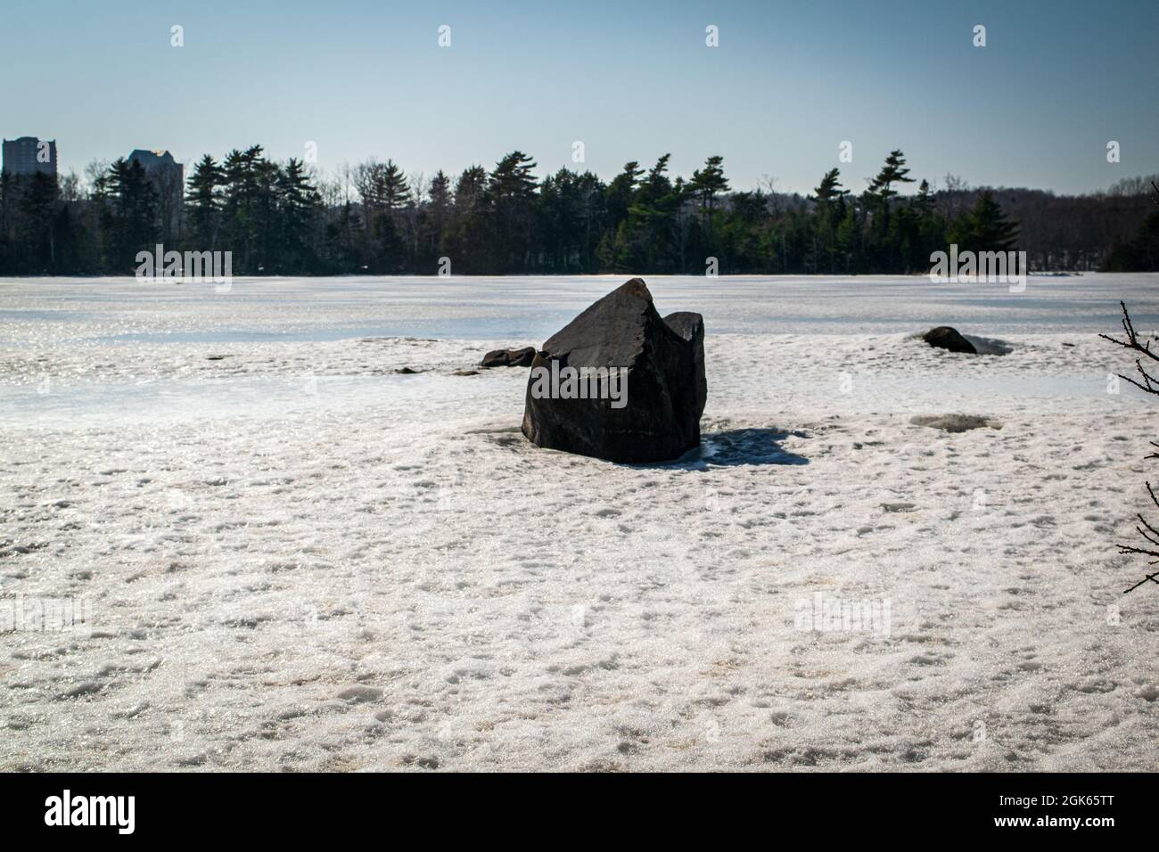 Ein Paar Hunde, die im Winter auf dem gefrorenen Lake Micmac herumlaufen Stockfoto