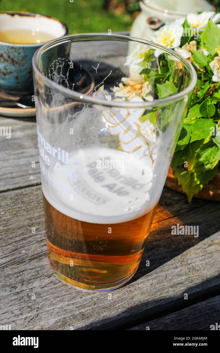 Ein Pint Glas Robinson's 'Dizzy Blonde' Amarillo Pale Ale Bier, England, Großbritannien Stockfoto