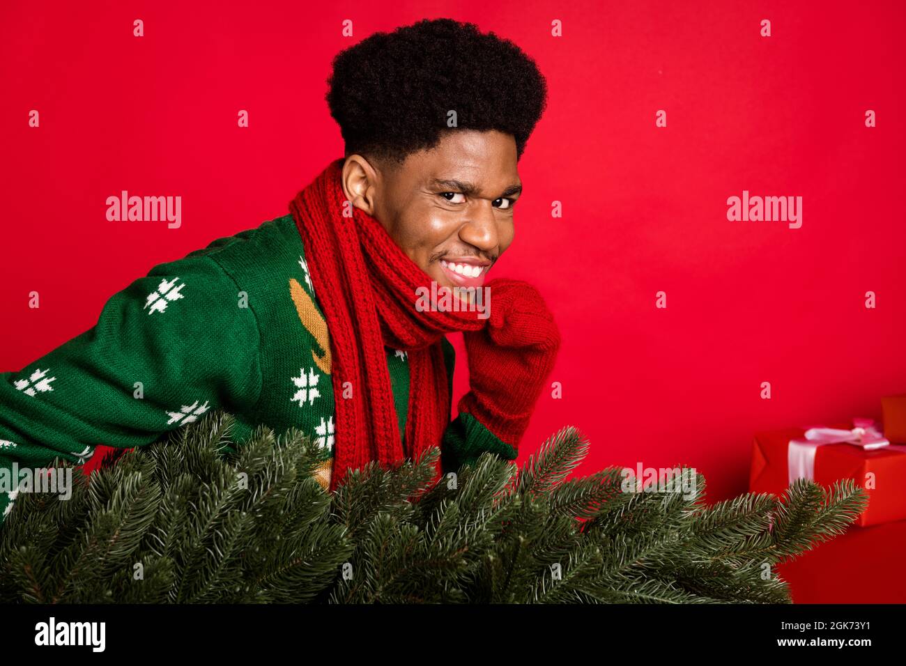 Foto von hinterhältigen x-Mas Dieb tragen gestohlen immergrünen Baum tragen grünen Pullover gestrickt Schal Fäustlinge isoliert auf rotem Hintergrund Stockfoto