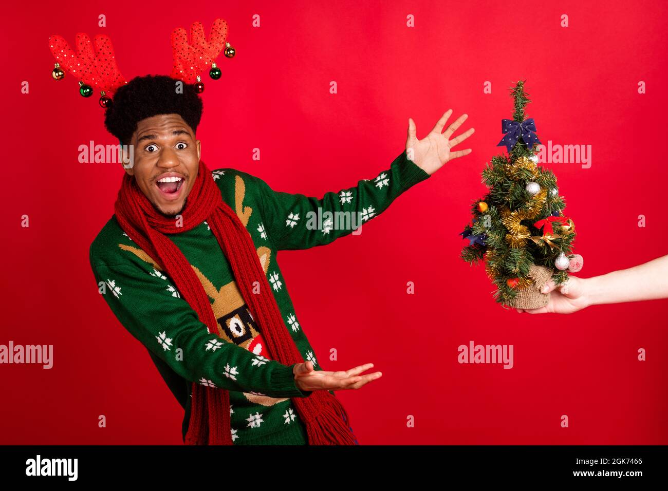 Foto von funky Kerl erhalten immergrünen Baum Geschenk Stretch Hände tragen x-Mas Pullover auf rotem Hintergrund isoliert Stockfoto