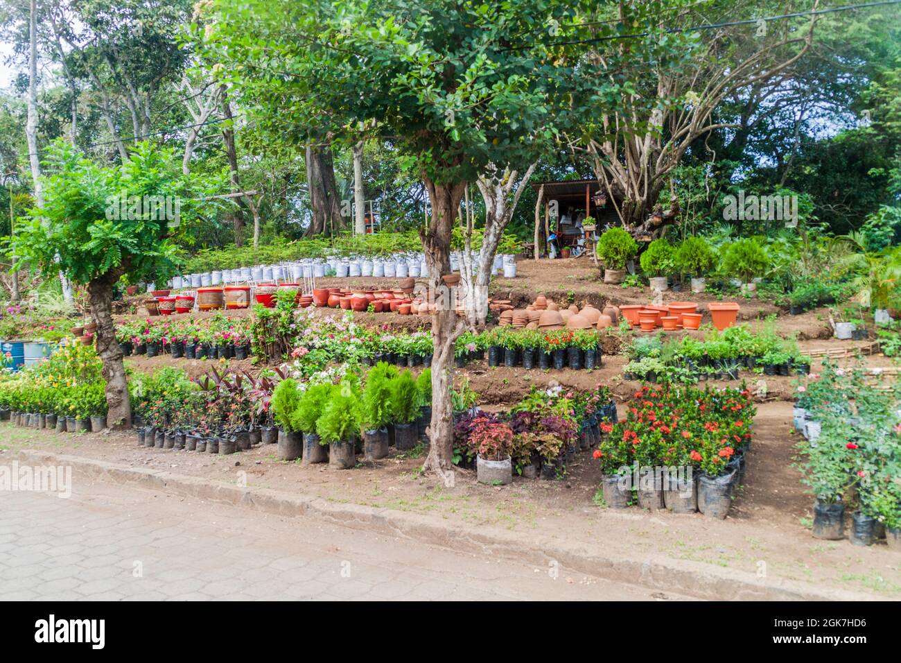 Gartencenter im Dorf Catarina in der Nähe des Sees Laguna de Apoyo, Nicaragua Stockfoto