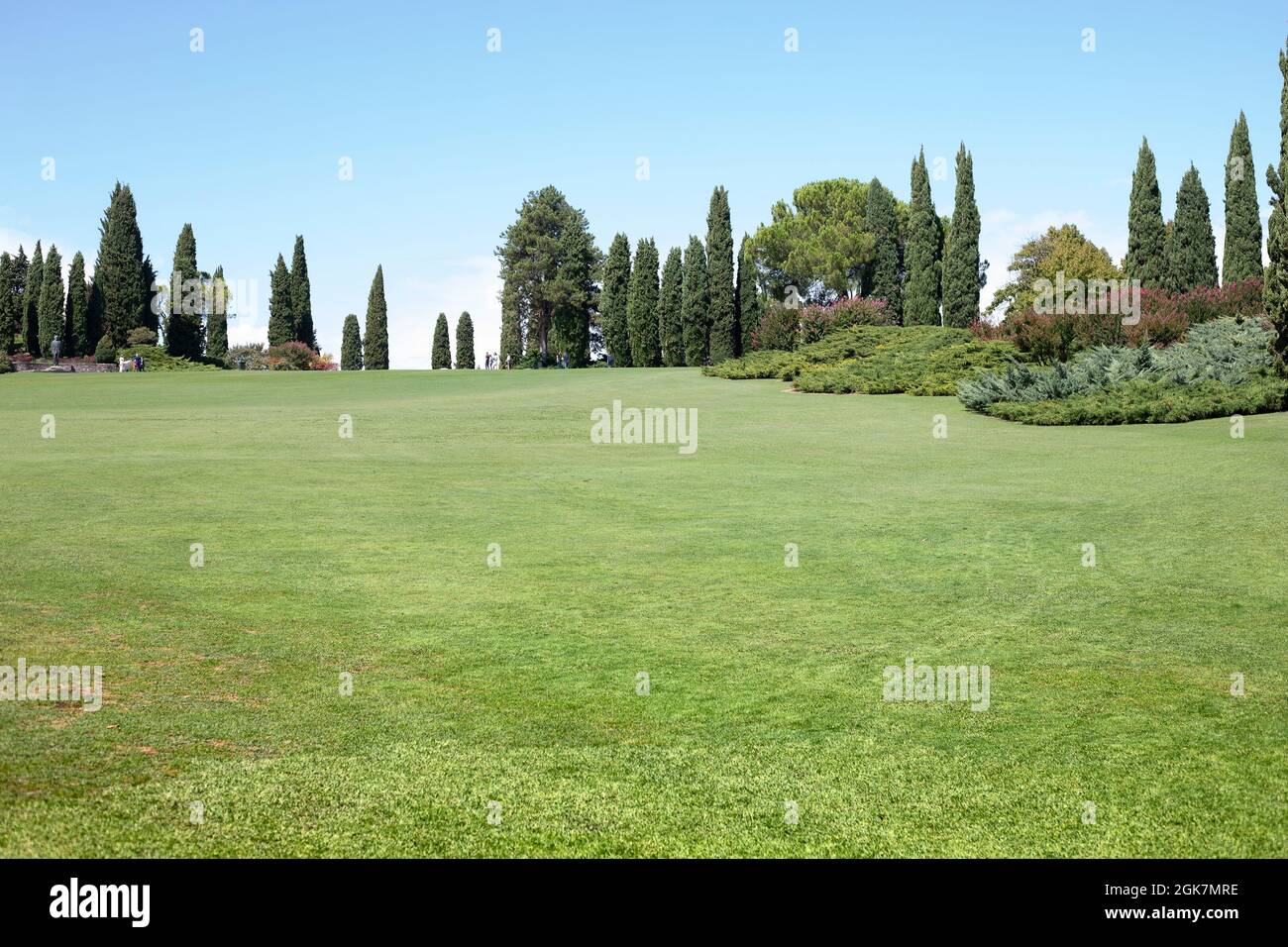 Große Rasenfläche, sommergrüne Landschaft mit Zypressen im Sigurtà Garden Park, Valeggio sul Mincio, Venetien, Italien. Stockfoto