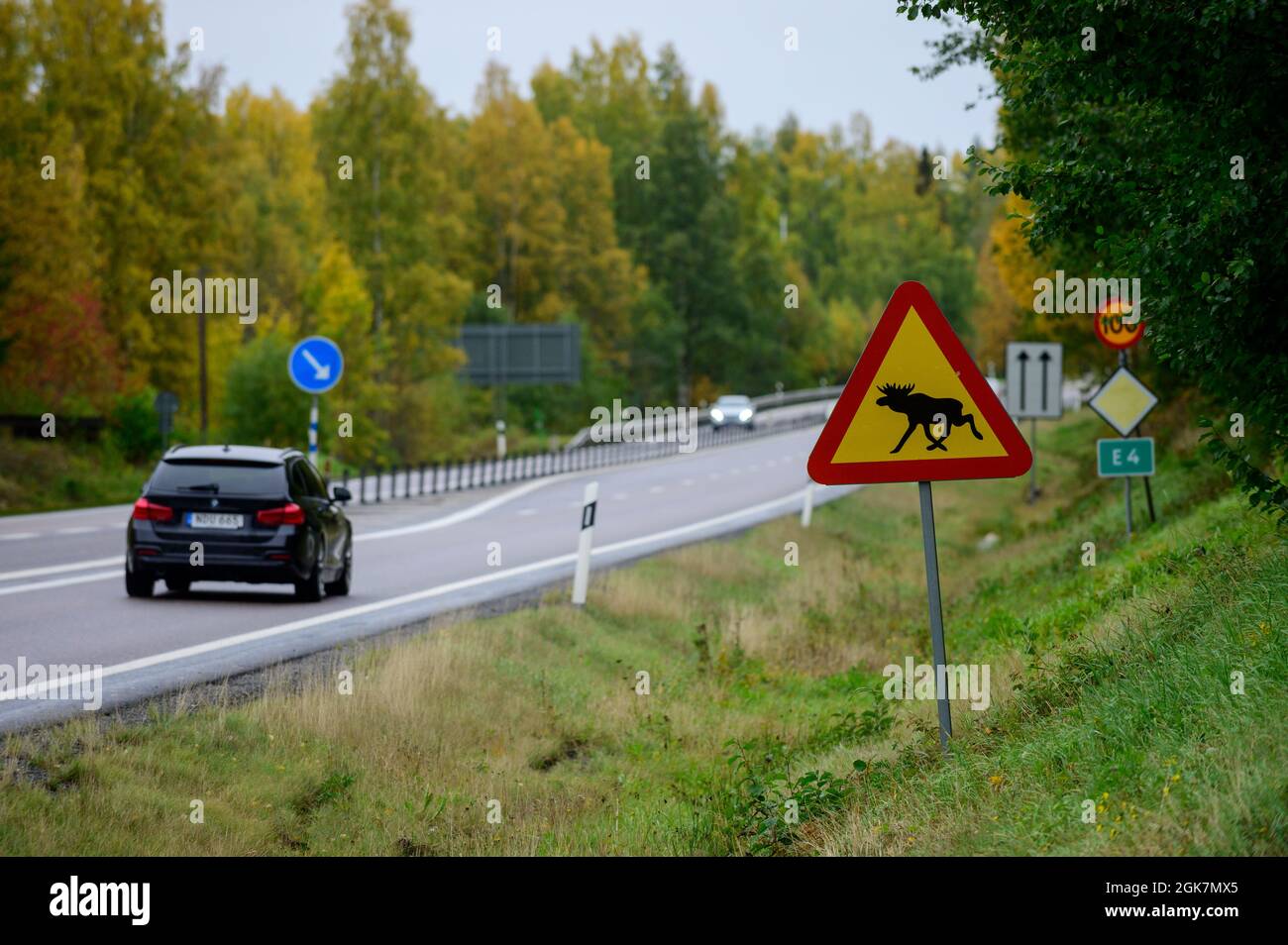 Verkehrsschild Warnung vor der Überquerung von Elchen auf einer Autobahn in Schweden Stockfoto