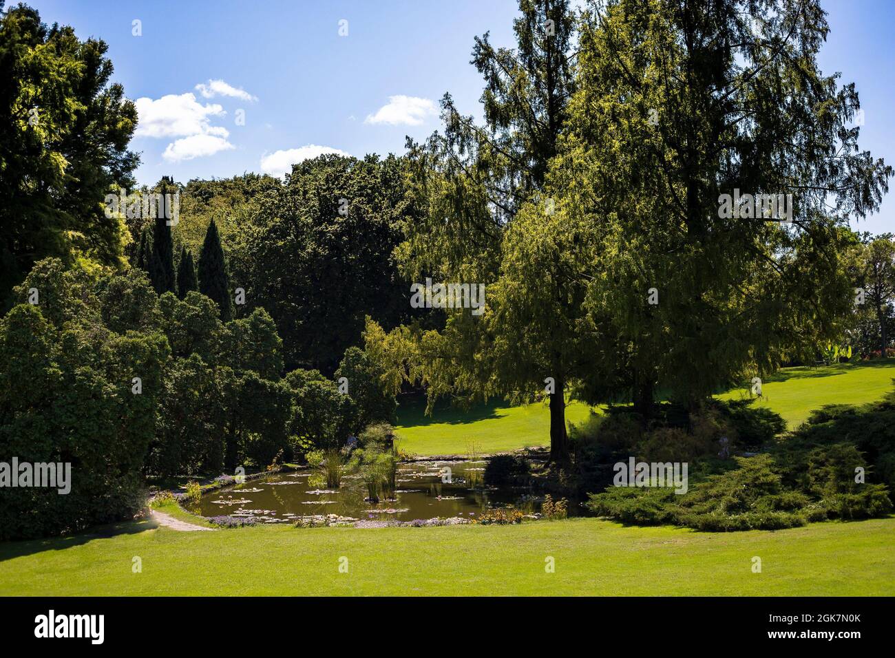 Kleiner Teich mit schattigen Bäumen im Sigurtà Garden Park, Valeggio sul Mincio, Venetien, Italien. Stockfoto