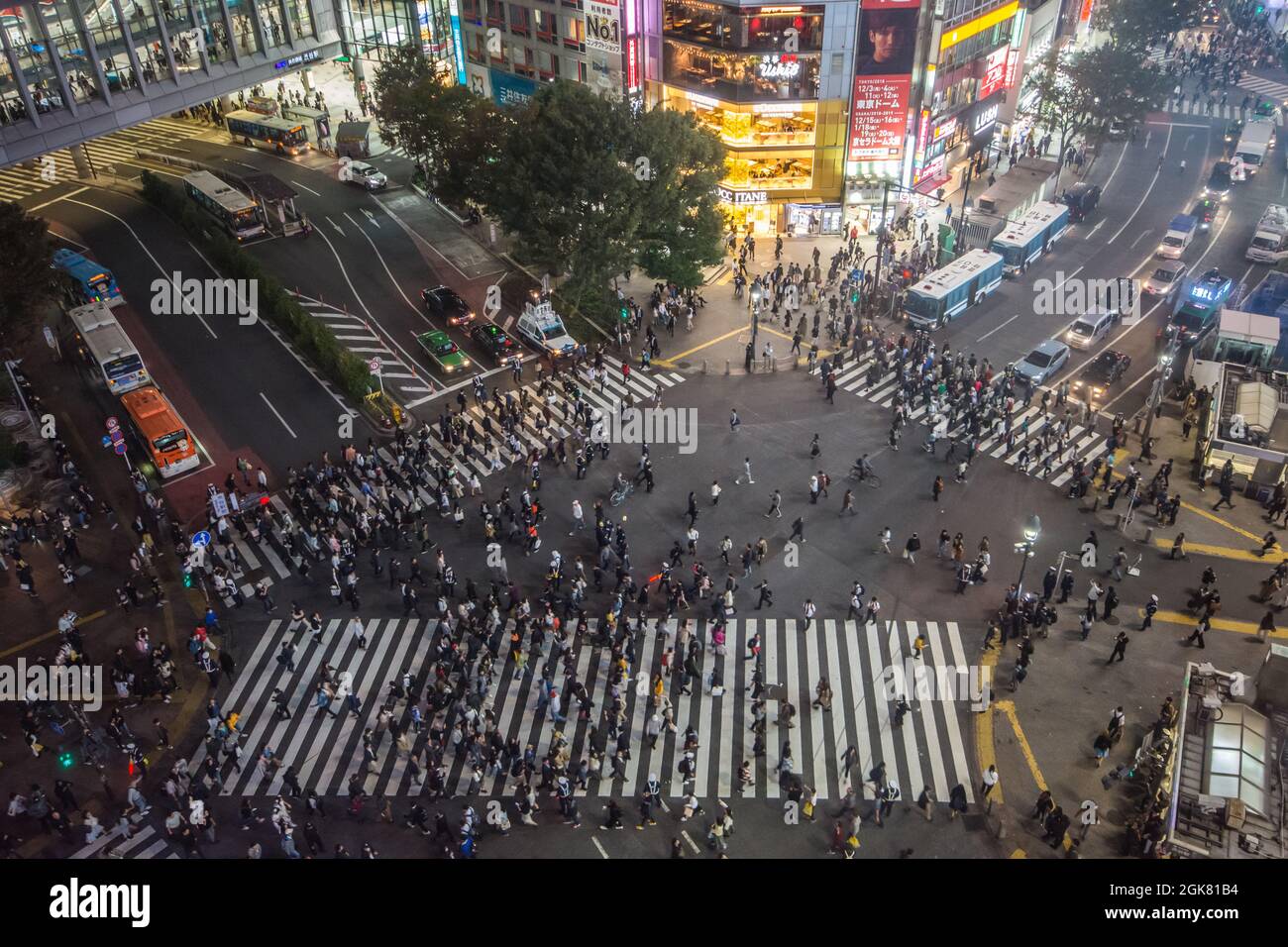 Massen von Menschen, die die Zebraübergänge an der Shibuya-Kreuzung nutzen, Tokio, Japan, Oktober Stockfoto